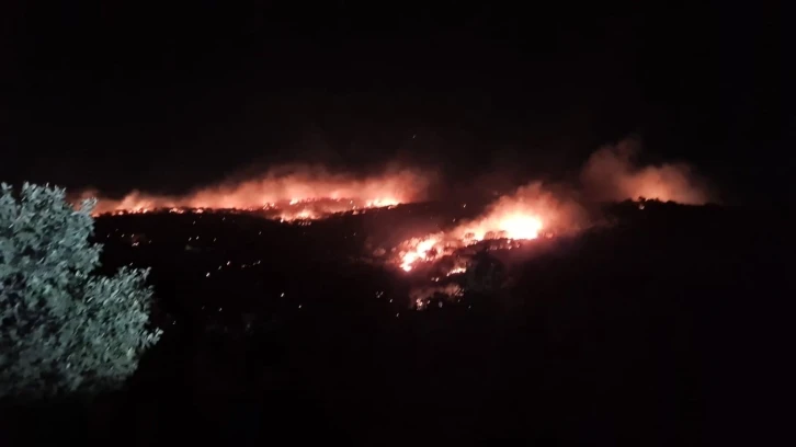 Mardin'de Gece Saatlerinde Çıkan Yangın Kontrol Altına Alındı