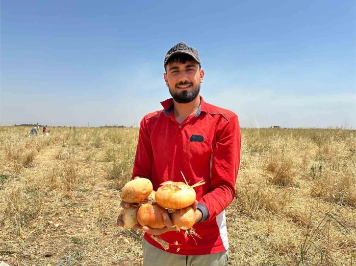 Mardin Kızıltepe'de Çiftçinin Büyük Fedakarlığı: Ücretsiz Soğan Dağıtımı