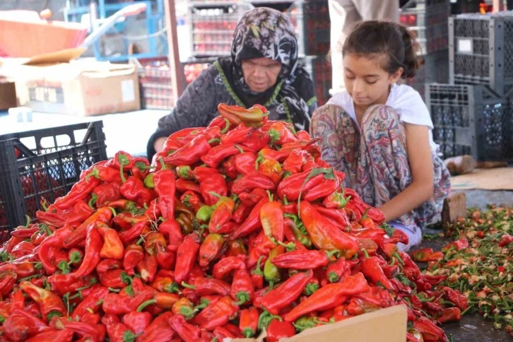 Şanlıurfa’da Isotun Acı Serüveni Başladı