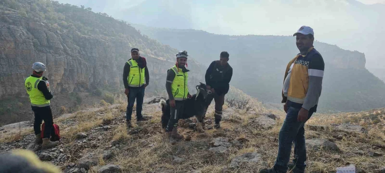 Uçurumda Mahsur Kalan Keçiyi Ekipler Kurtardı