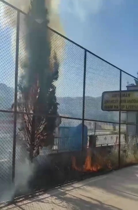 Okul Bahçesinde Yangın Paniği: Çam Ağaçları Kül Oldu