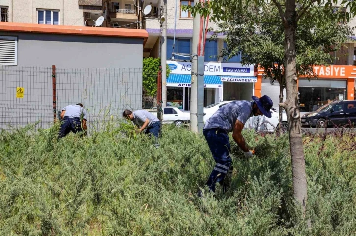  Park ve Bahçelerde Temizlik Çalışmaları Sürüyor