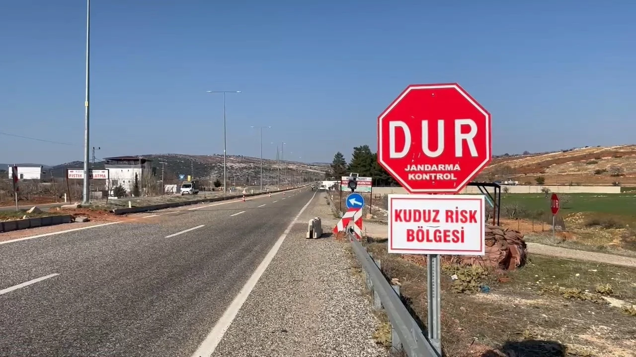 Sahipli Köpek Kuduz Çıktı, Belde Karantinaya Alındı