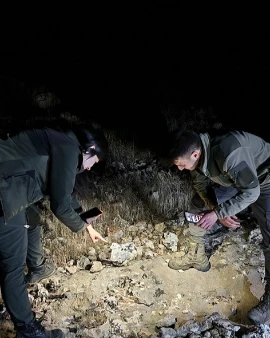 Şanlıurfa'da Nadir Görülen "Leopar Keleri" Keşfedildi