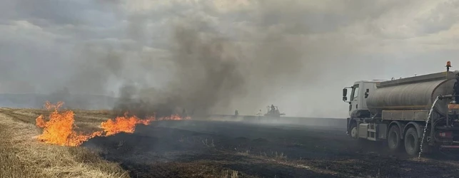Şırnak'ta Yıldırım Çarpmasıyla Çıkan Yangınlar Tarım Arazilerini Vurdu