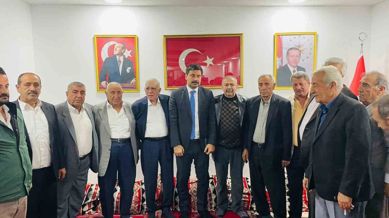 Sırrı Süreyya Önder ve Ahmet Türk, Barış İçin Devrede