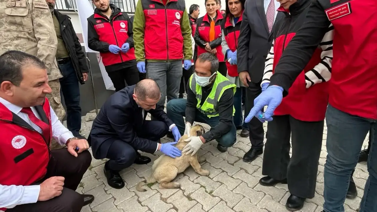 Siverek Kaymakamı Aydemir  Kuduz ile Mücadele Stardı Verdi