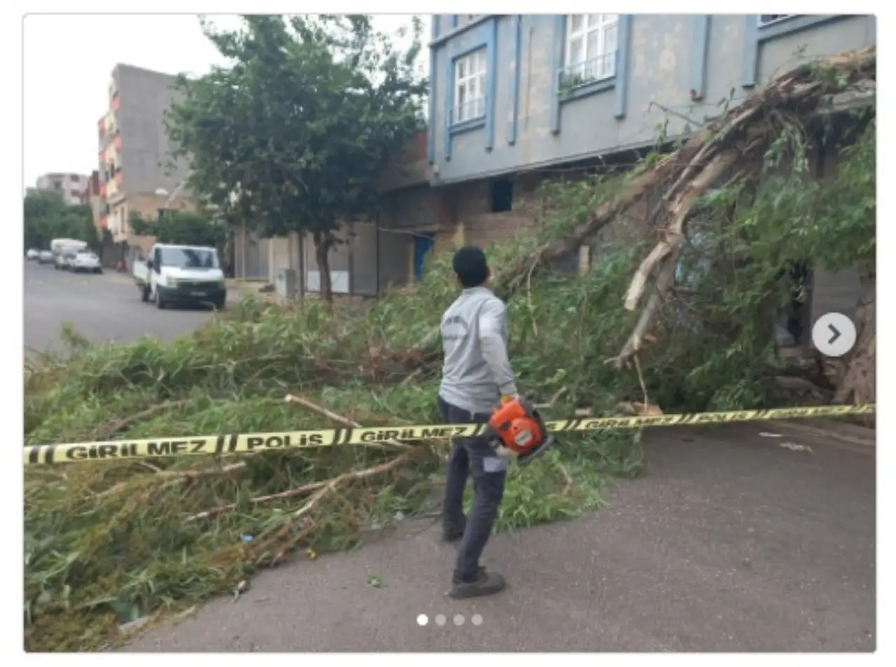 Siverek'te Fırtına Sonrası Ağaç Temizleme Çalışmaları Sürüyor