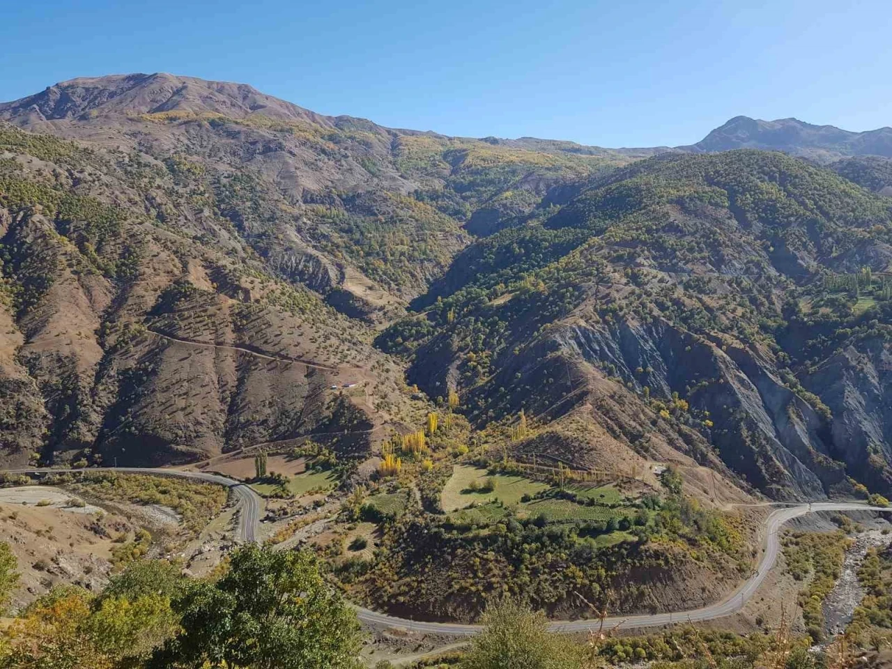 Sonbaharın Renk Cümbüşü: Doğal Bir Şölen