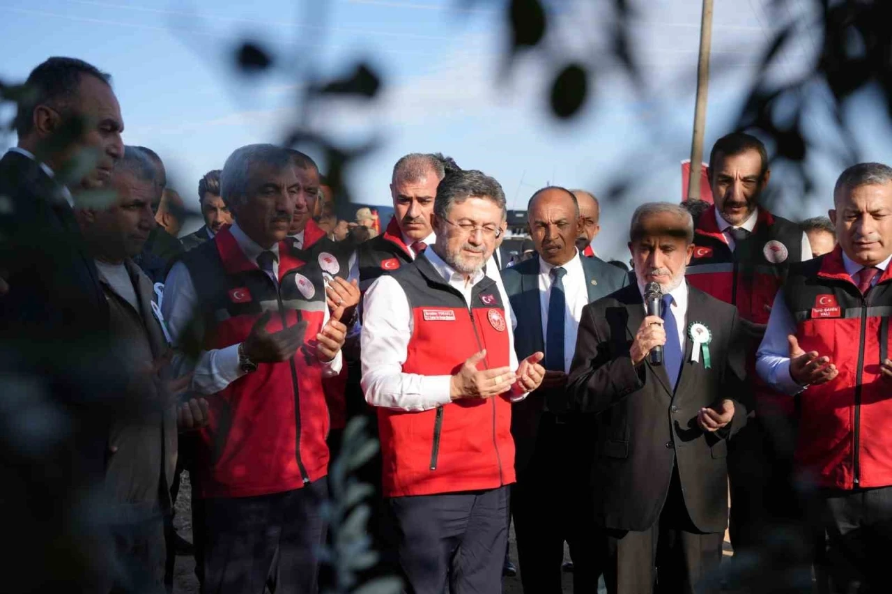 Tarım ve Orman Bakanı Yumaklı Zeytin Hasadına Katıldı