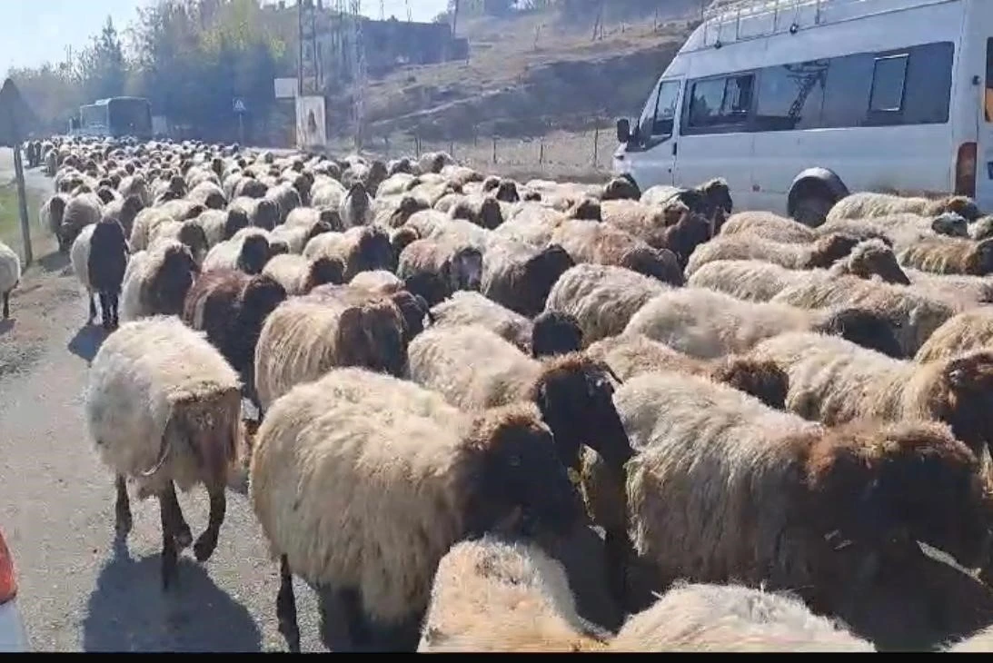 Yaylalarındaki Göçerlerin Dönüş Yolculuğu Başladı