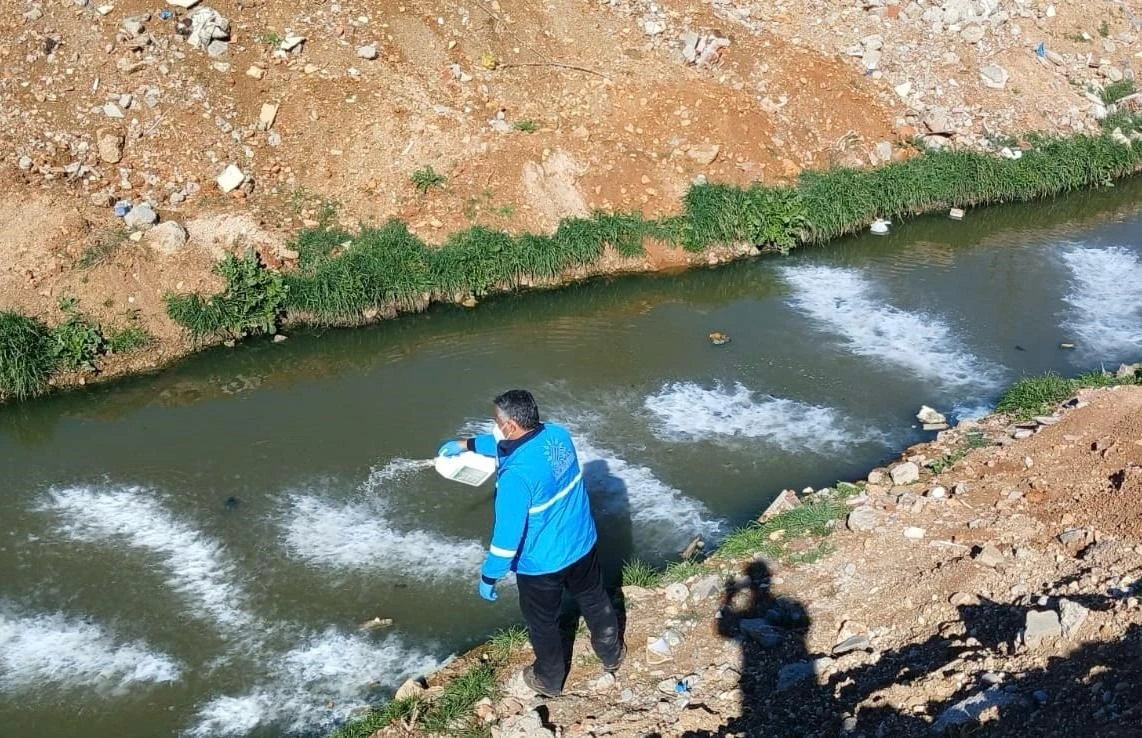 Yazın Haşere Mücadelesi: Larva İle Savaş Başladı