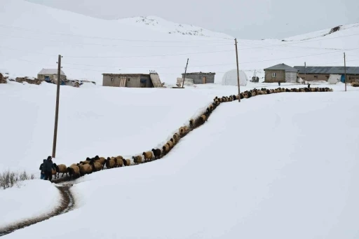 20 Yıldır Dağlardan İnmeyen 26 Yaşındaki Çoban, Kendini Hayvanlarına Adadı