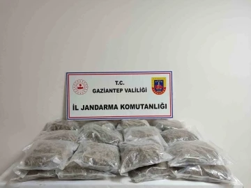 32 Kilogram Skunk Ele Geçirildi