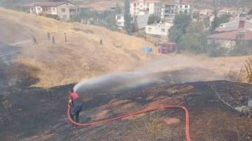  50 Dönümlük Alan Kül Oldu