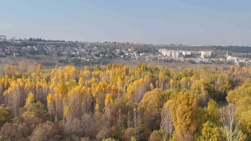 8 Bin Yıllık Hevsel Bahçeleri’nde Sonbaharın Renk Cümbüşü