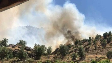 Adıyaman'daki Orman Yangını Korkuttu: Koçali Köyü Yakınlarında Alevler Yükseldi