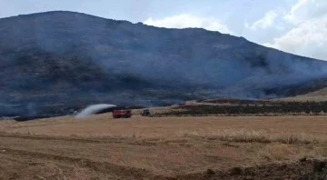  Anız Yangını Ormanlık Alana Zarar Verdi