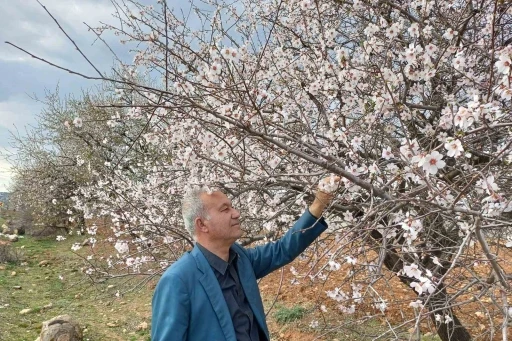  Bahar Erken Geldi