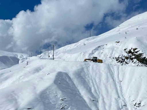 Bahar Havası Yerini Kar Yağışına Bıraktı: 25 Köy ve Mezra Yolu Ulaşıma Kapandı