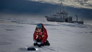Bilim İnsanları Kuzey Kutbu'nda Dünyanın Geleceği İçin Cevaplar Arıyor