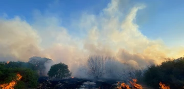 Büyük Yangın Fıstık ve Zeytin Bahçeleri Tehlikede