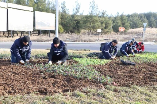  Çiçeklendirme Çalışmaları Devam Ediyor