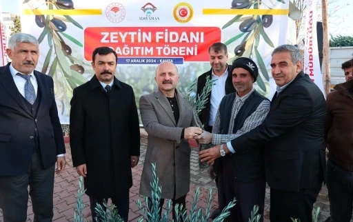 Çiftçilere 70 Bin Zeytin Fidanı Dağıtıldı