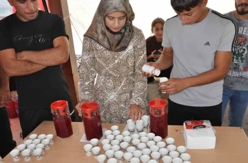  Dağlardan Toplanan Sumak Ailelerin Geçim Kaynağı Oldu