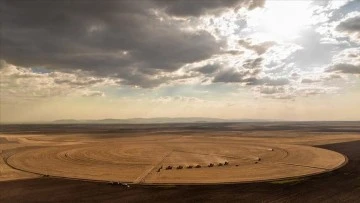 Dairesel Tarlalarında Hasat Mesaisi Tamamlandı