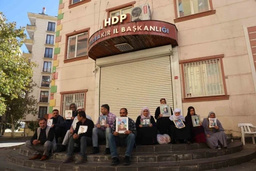 Diyarbakır Anneleri, CHP Genel Başkanı Özgür Özel'in Kendilerini Ziyaret Etmemesini Kınadı