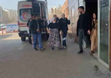 Diyarbakır'da 72 Yaşındaki Kadın, Besledikleri Köpeğin Saldırısına Uğradı