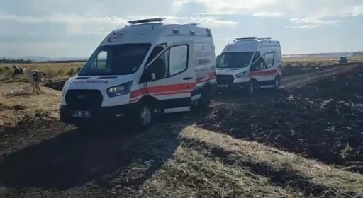 Diyarbakır Ergani'de Çıkan Anız Yangını Paniğe Yol Açtı