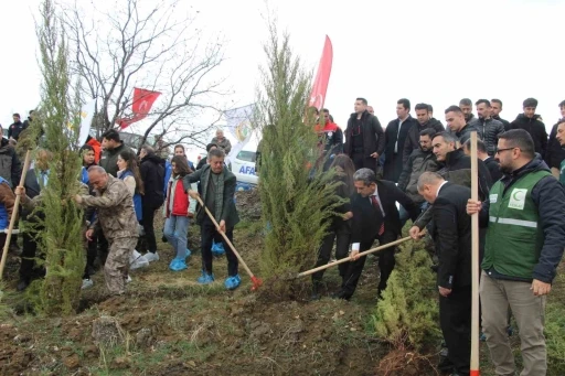  Dünya Ormancılık Günü Kapsamında Fidan Dikimi Yapıldı