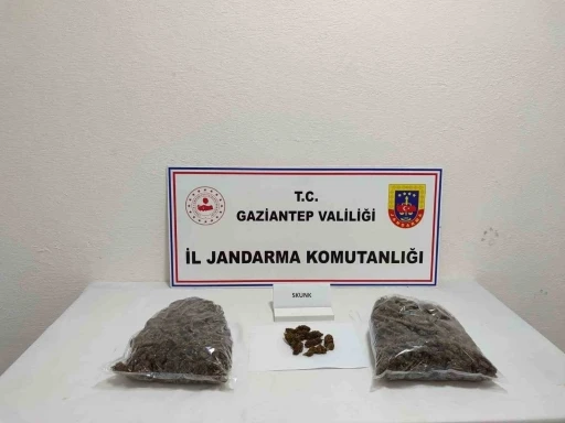 5 Kilo Skunk Ele Geçirildi: Bir Şüpheli Tutuklandı