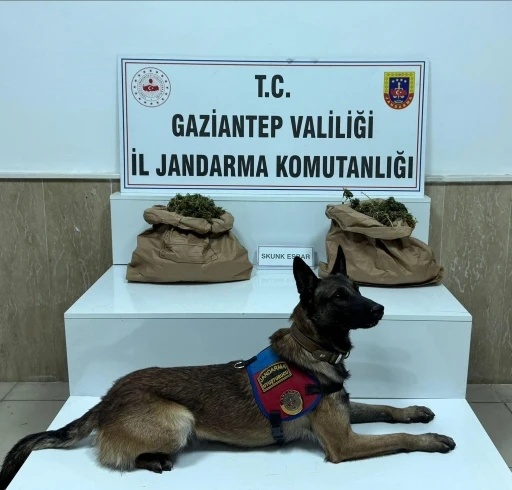 Gaziantep’te Jandarma Baskınıyla 4 Kilogram Uyuşturucu Ele Geçirildi