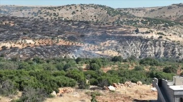 Gaziantep'te Orman Yangını Kontrol Altına Alındı