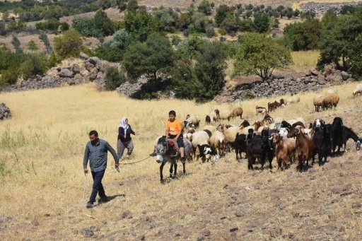 Hayvancılığa Verdiği Destekle  O İlçede Üretim Artıyor