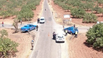 Jandarmadan “Yeşil Altın” Nöbeti: Gaziantep’te Antep Fıstığı Hırsızlığına Karşı Sıkı Önlemler