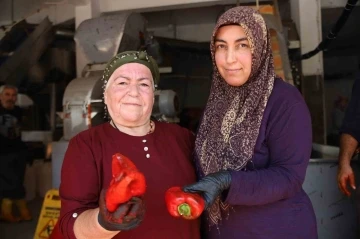  Kadınlar Ekmeklerini ‘Acı’dan Çıkarıyor