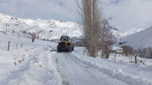 Kapalı Köy Yolları Yeniden Ulaşıma Açıldı