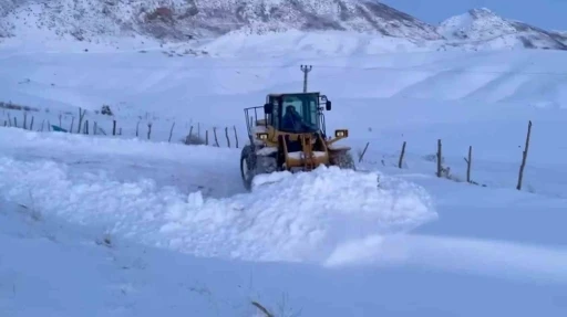 Kar Yağışı Nedeniyle Kapanan Tüm Yollar Açıldı