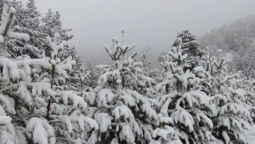 Kars'ta Kar Yağışı Trafiği Olumsuz Etkiledi