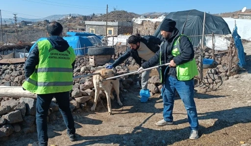 Kuduz Alarmı: Köpek Saldırısında 3 Kişi Yaralandı, Köy Karantinaya Alındı