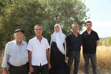 Mardin’de Büyük Arazi Skandalı: 15 Kardeşin Hakkı Sahte Tapu İşlemleri ile Mi Gasp Edildi?