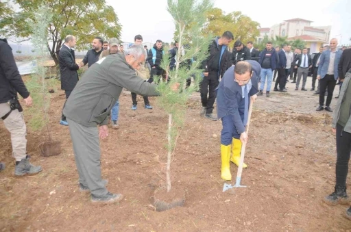 Milli Ağaçlandırma Günü’nde 