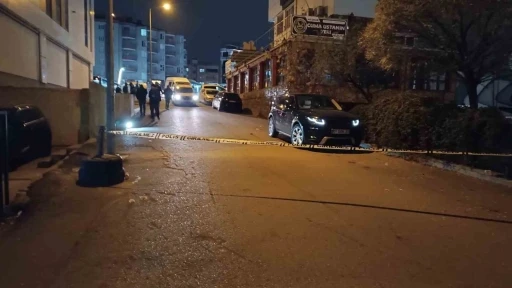 Park Halindeki Otomobili Kurşunlayan Şahıs Yakalandı