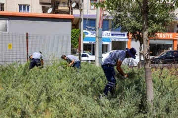  Park ve Bahçelerde Temizlik Çalışmaları Sürüyor