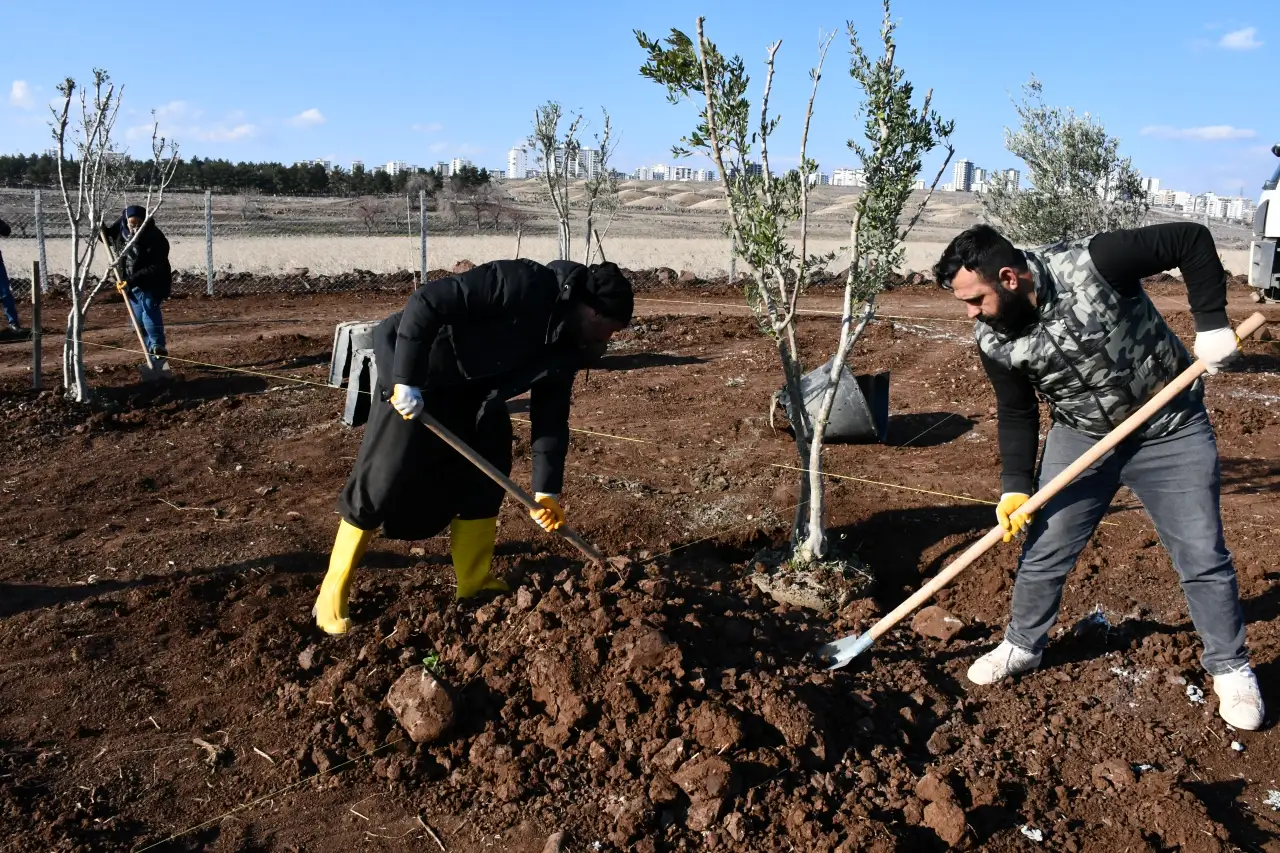 Şehir tarımı Siverek’te hayat buluyor! 