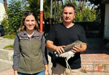 Şırnak’ta Yaralı Gece Balıkçılı Kuşu Tedavi Altına Alındı